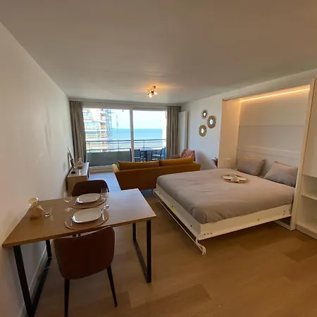 公寓 Sky Sea View 奥斯滕德